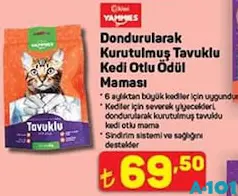 KİWİ YAMMİES DONDURULARAK KURUTULMUŞ TAVUKLU KEDİ OTLU ÖDÜL MAMASI